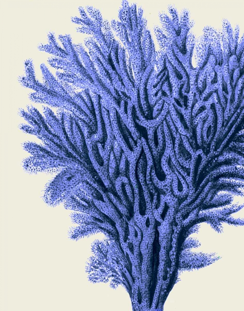 Wall Art Painting id:99206, Name: Blue Corals 2 a, Artist: Fab Funky