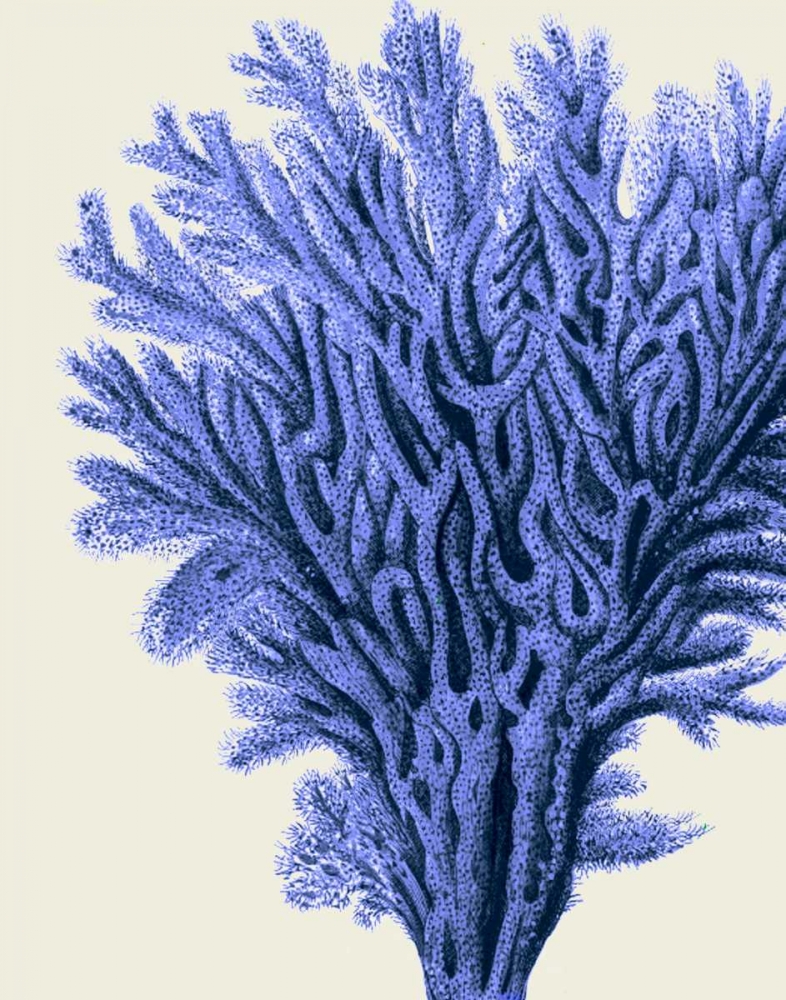 Art Print: Blue Corals 2 a