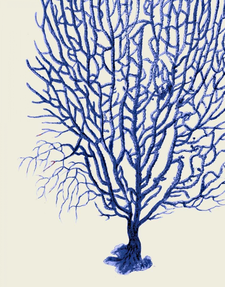 Art Print: Blue Corals 2 b