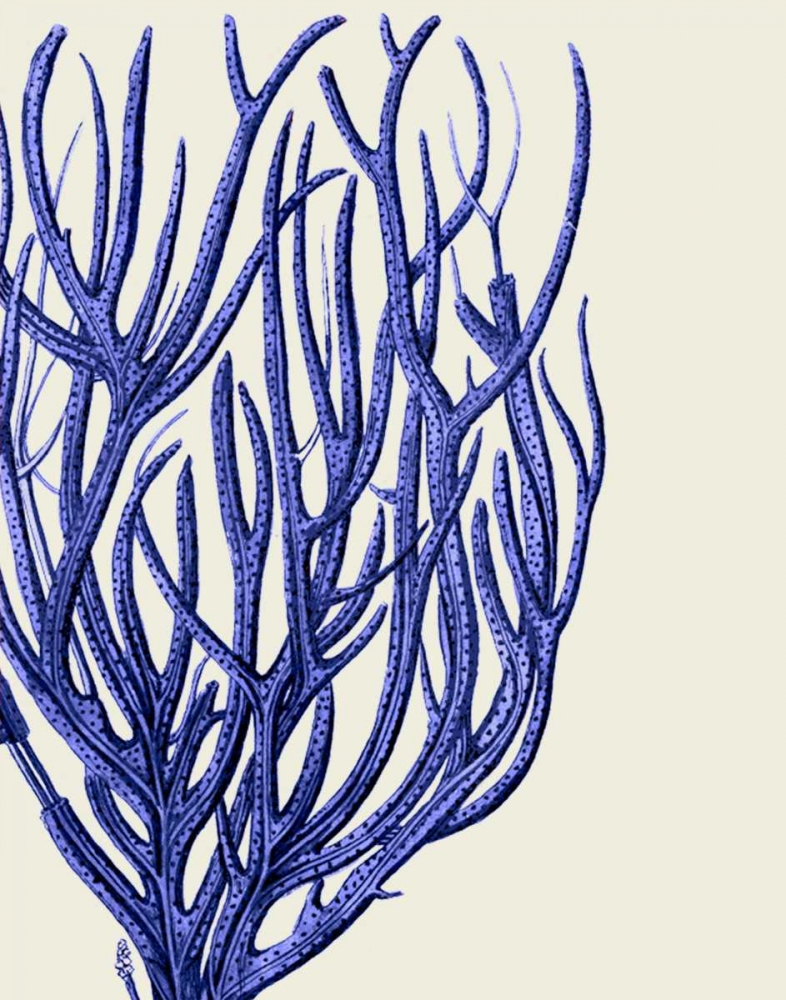 Art Print: Blue Corals 2 c