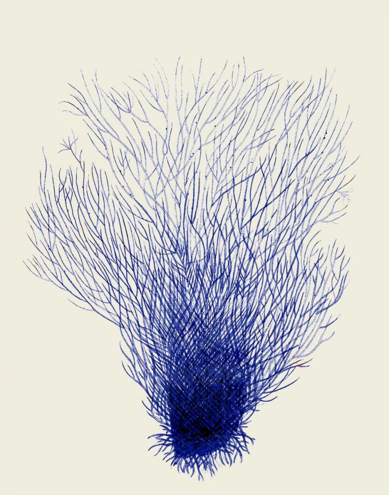 Art Print: Blue Corals 2 d