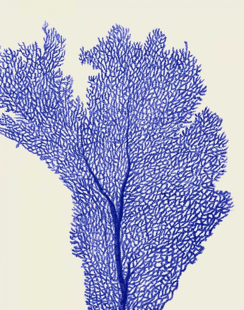 Art Print: Blue Corals 2 e