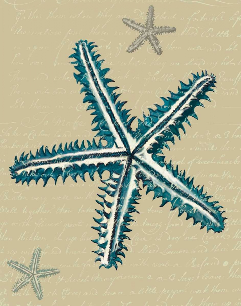 Art Print: Blue Starfish on Taupe a