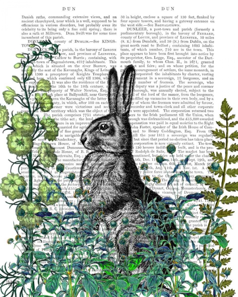 Wall Art Painting id:148530, Name: Rabbit in The Garden, Artist: Fab Funky