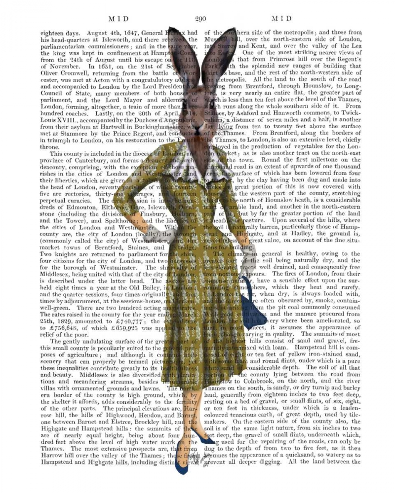 Wall Art Painting id:148558, Name: Rabbit In Mustard Dress, Artist: Fab Funky