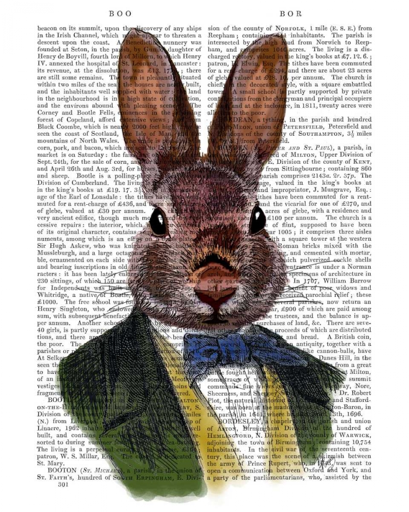 Wall Art Painting id:148590, Name: Rabbit in Green Jacket, Artist: Fab Funky