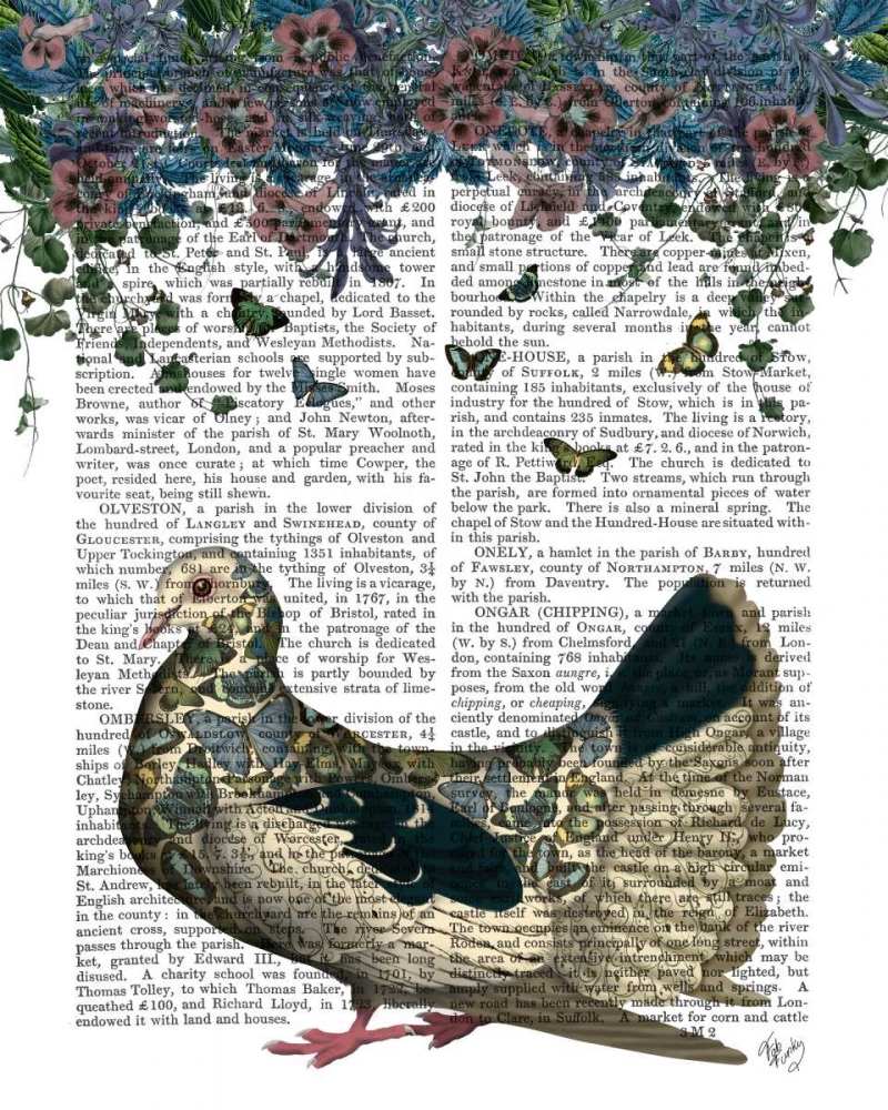Art Print: Butterfly Dove