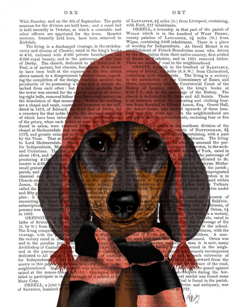 Wall Art Painting id:183949, Name: Dachshund in Pink Hat and Scarf, Artist: Fab Funky