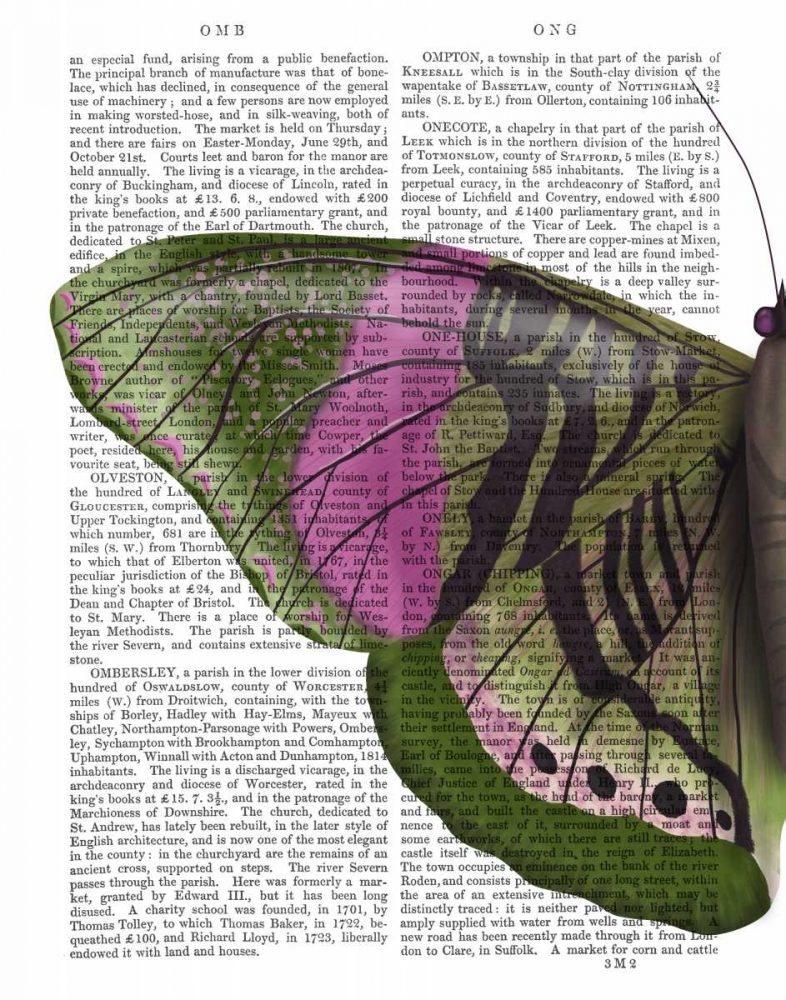 Art Print: Butterfly in Green and Pink a