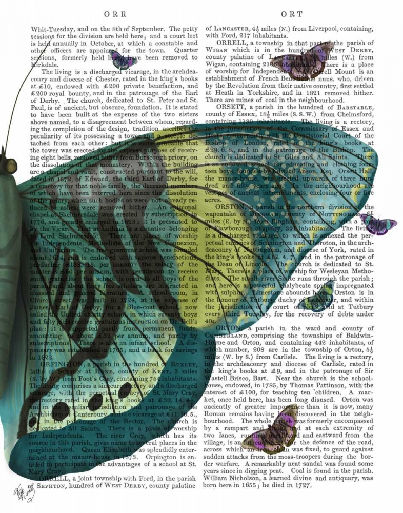 Art Print: Butterfly in Turquoise and Yellow b