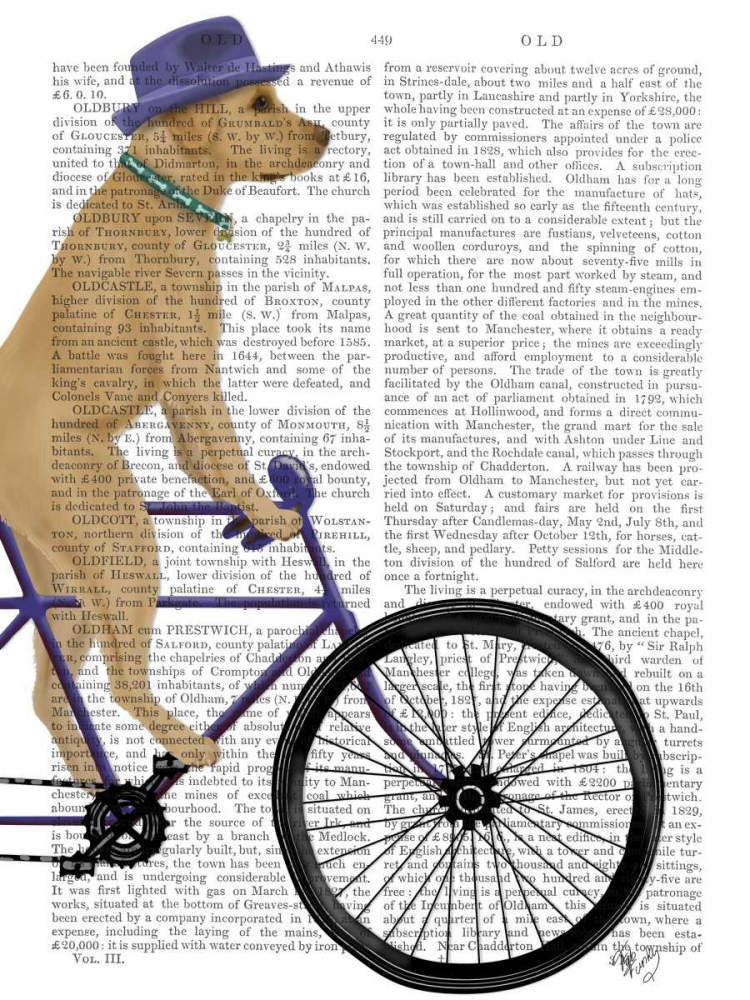 Wall Art Painting id:184197, Name: Yellow Labrador on Bicycle, Artist: Fab Funky