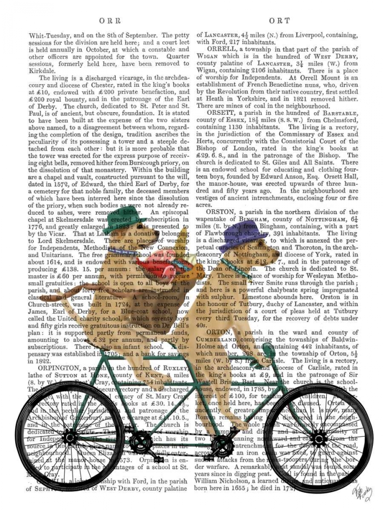 Wall Art Painting id:184198, Name: Yellow Labrador Tandem, Artist: Fab Funky