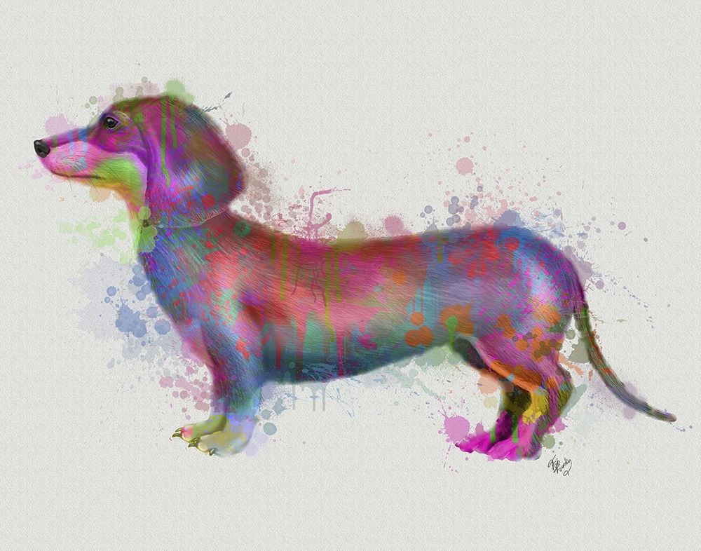 Art Print: Dachshund Rainbow Splash 1