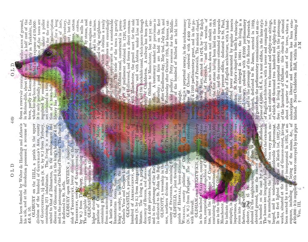 Art Print: Dachshund Rainbow Splash 1