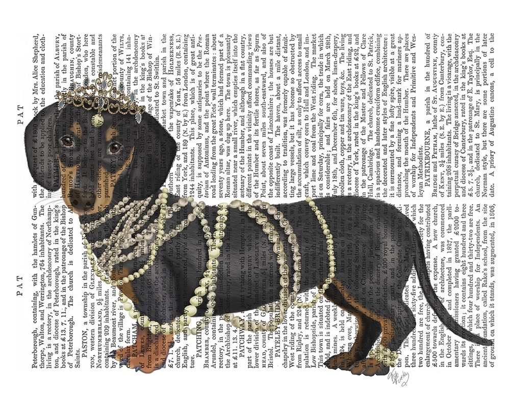 Wall Art Painting id:236601, Name: Dachshund and Pearls, Artist: Fab Funky