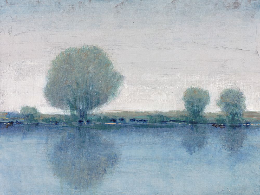 Wall Art Painting id:477532, Name: Afternoon Reflection I, Artist: OToole, Tim