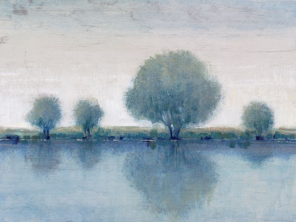 Wall Art Painting id:477533, Name: Afternoon Reflection II, Artist: OToole, Tim