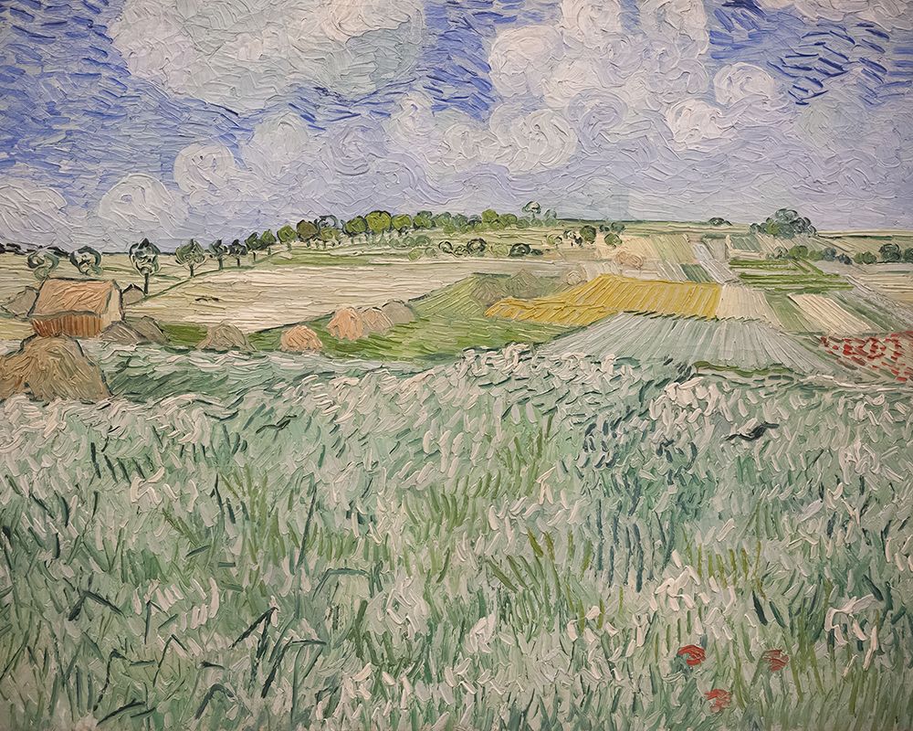 Wall Art Painting id:535124, Name: Plain near Auvers, Artist: Van Gogh, Vincent