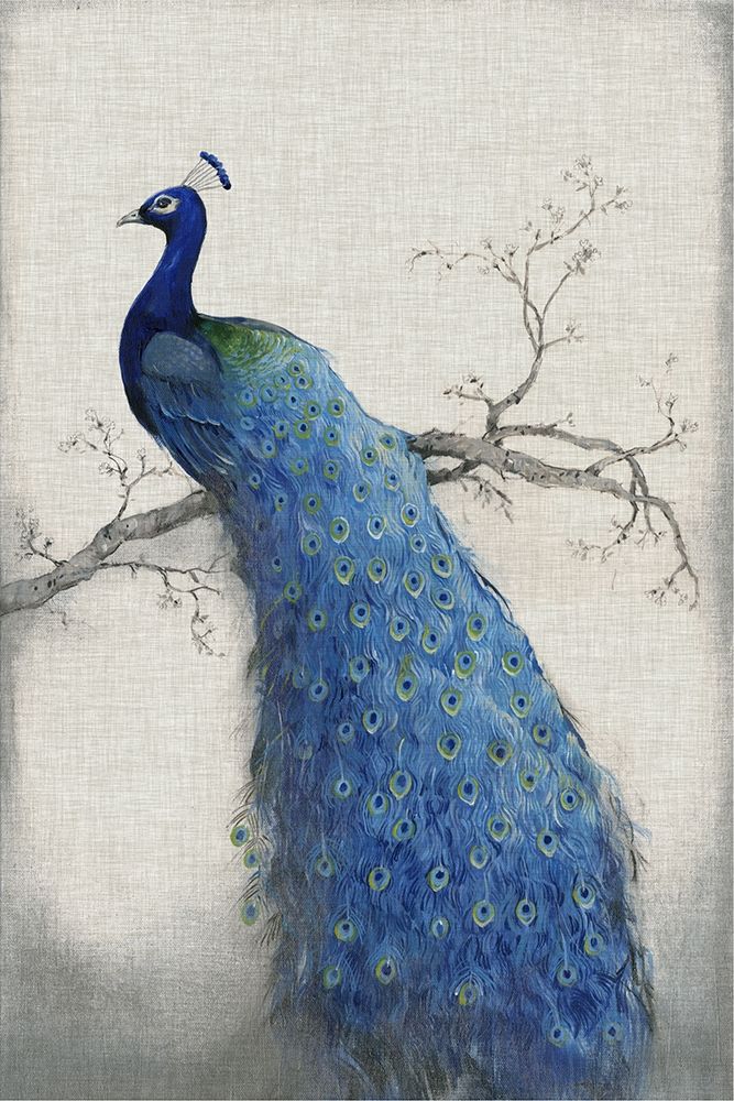 Wall art: Peacock Blue II, by OToole, Tim