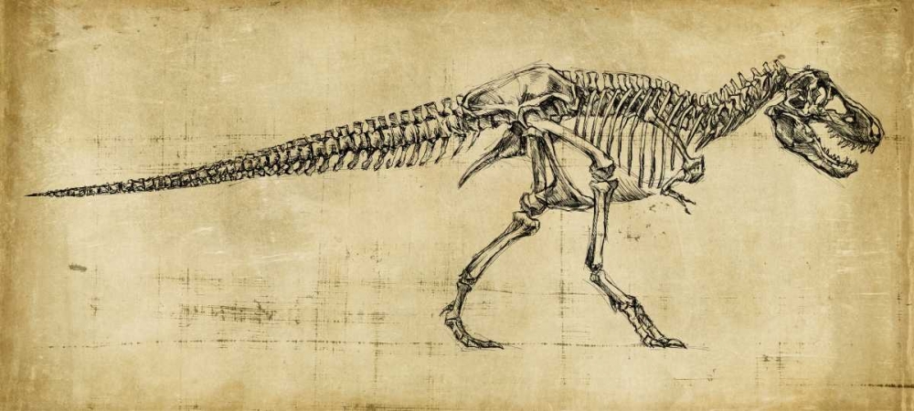 Wall Art Painting id:38176, Name: Tyrannosaurus Rex Study, Artist: Harper, Ethan