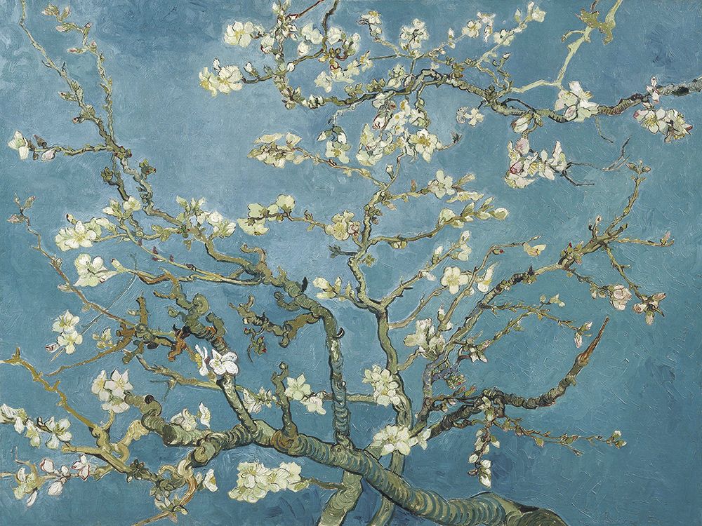 Wall Art Painting id:544859, Name: Van Goghs Almond Blossom, Artist: Van Gogh, Vincent