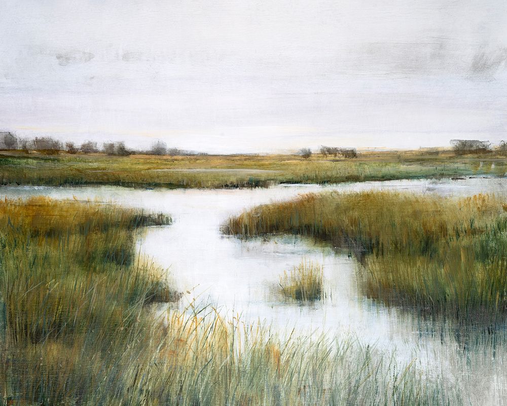 Wall Art Painting id:545111, Name: Misty Marshland  I, Artist: OToole, Tim