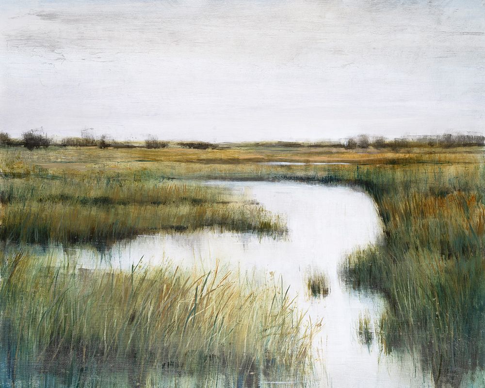 Wall Art Painting id:545112, Name: Misty Marshland  II, Artist: OToole, Tim