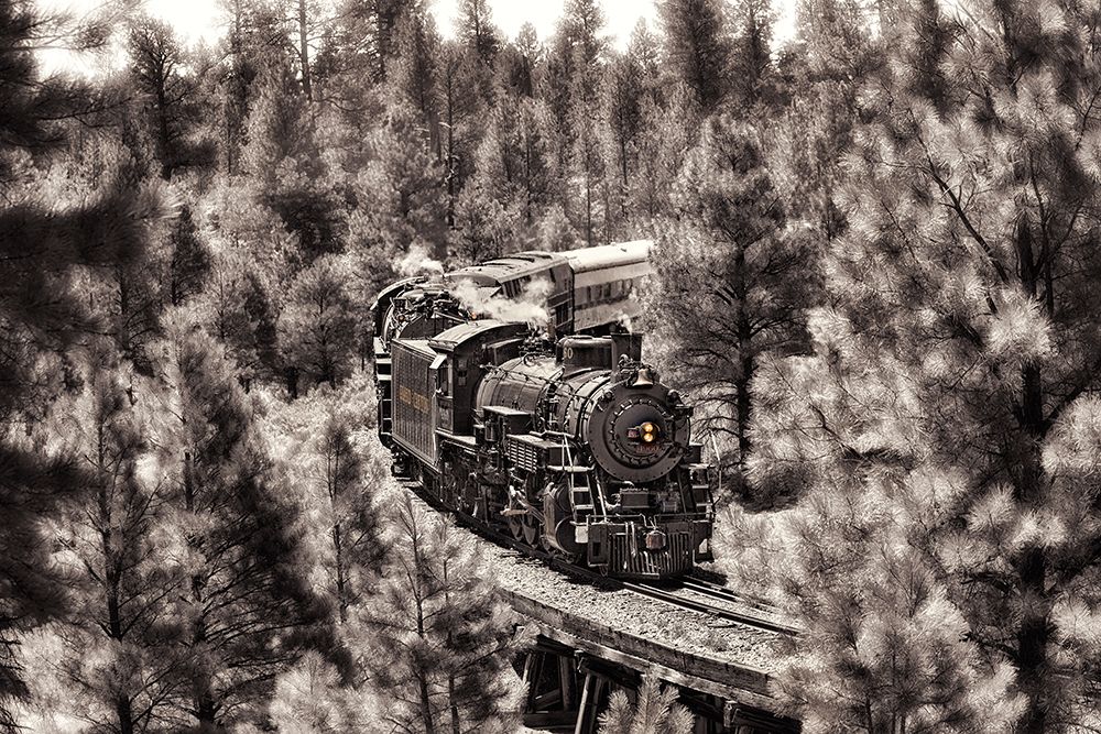 Art Print: Train to Grand Canyon