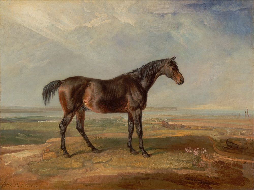 Art Print: Wards Horse in Oil I