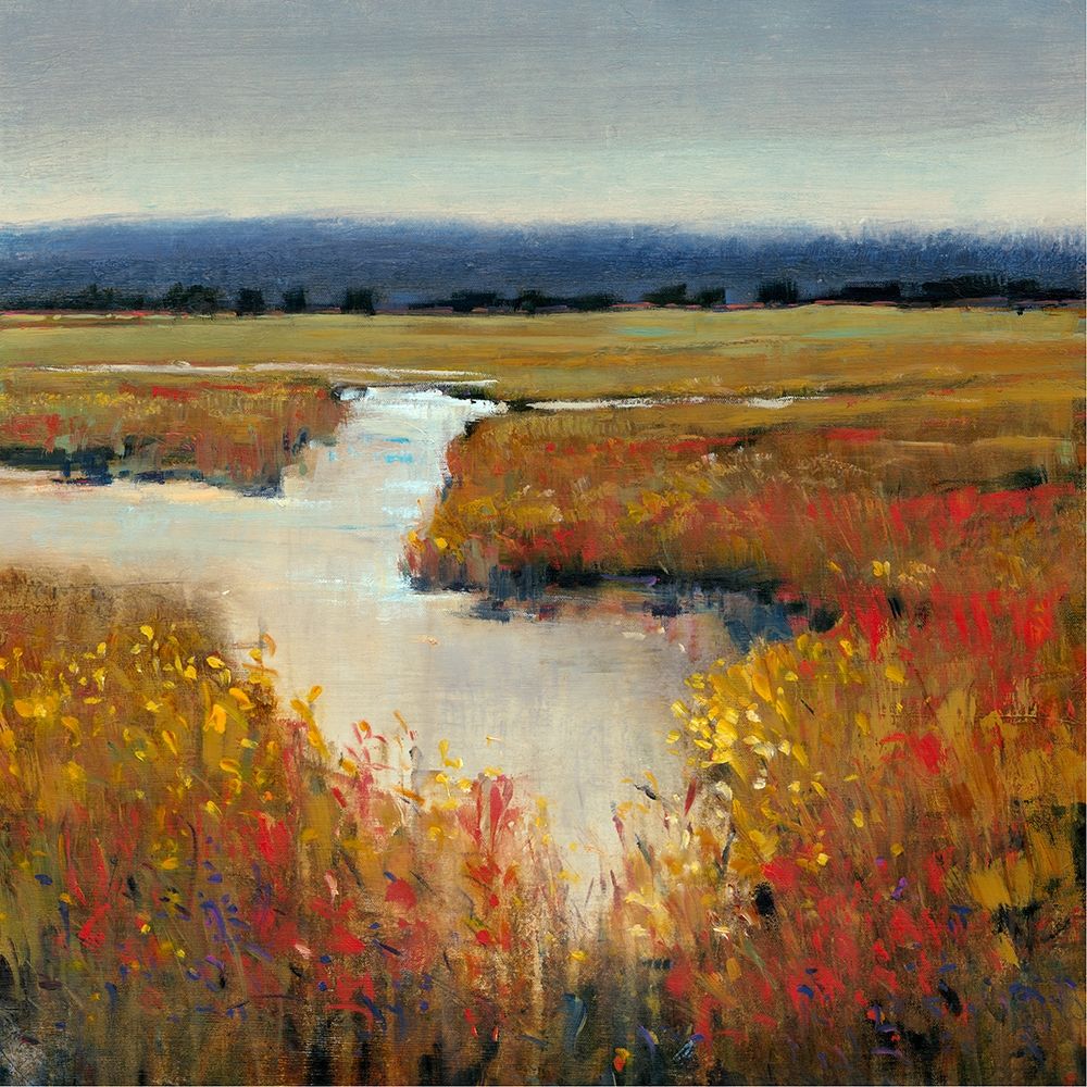 Wall Art Painting id:232112, Name: Marsh Land I, Artist: OToole, Tim