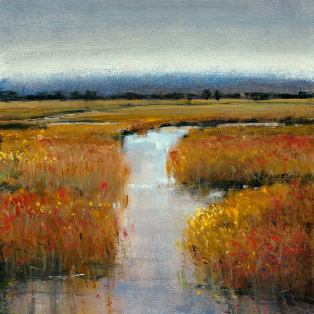 Wall Art Painting id:38179, Name: Marsh Land II, Artist: OToole, Tim