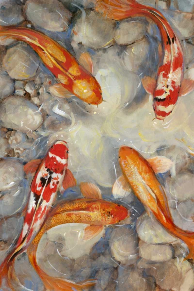 Wall art: Vibrant Koi I, by OToole, Tim