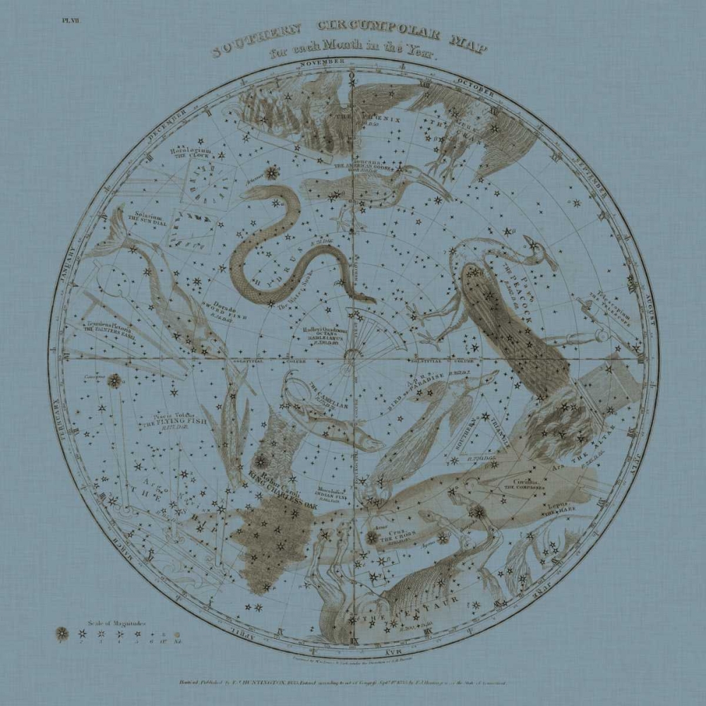 Wall Art Painting id:117695, Name: Southern Circumpolar Map, Artist: Evans, W.G.