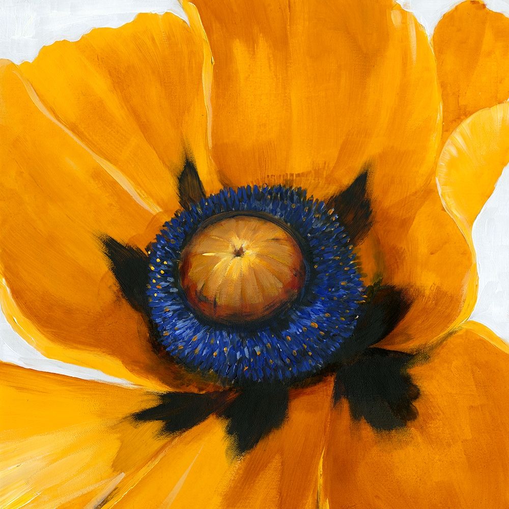 Wall art: Close-Up I, by OToole, Tim