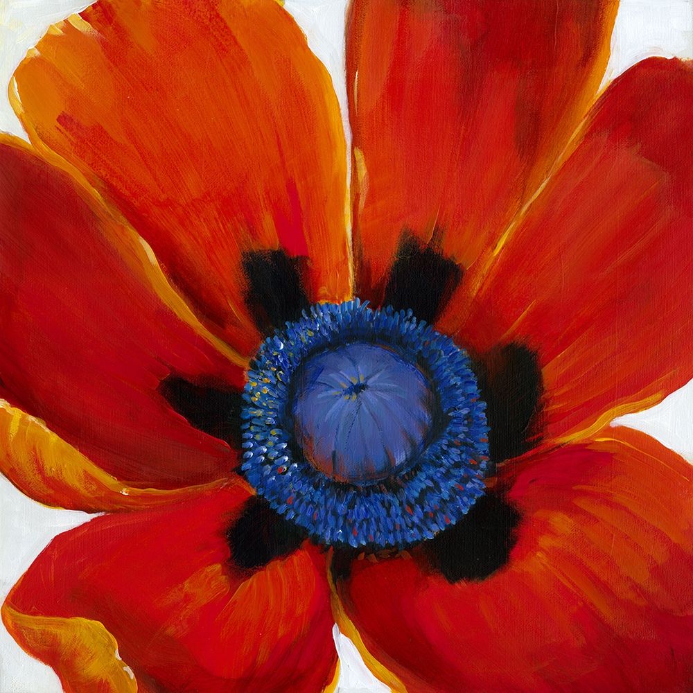 Wall art: Close-Up II, by OToole, Tim