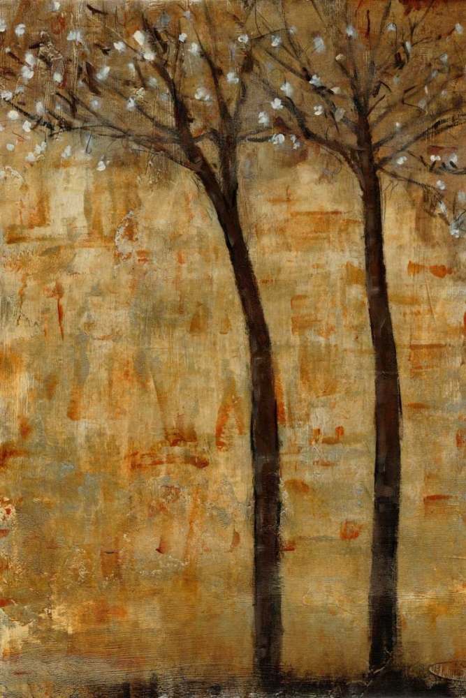 Wall Art Painting id:34408, Name: In Bloom II, Artist: OToole, Tim