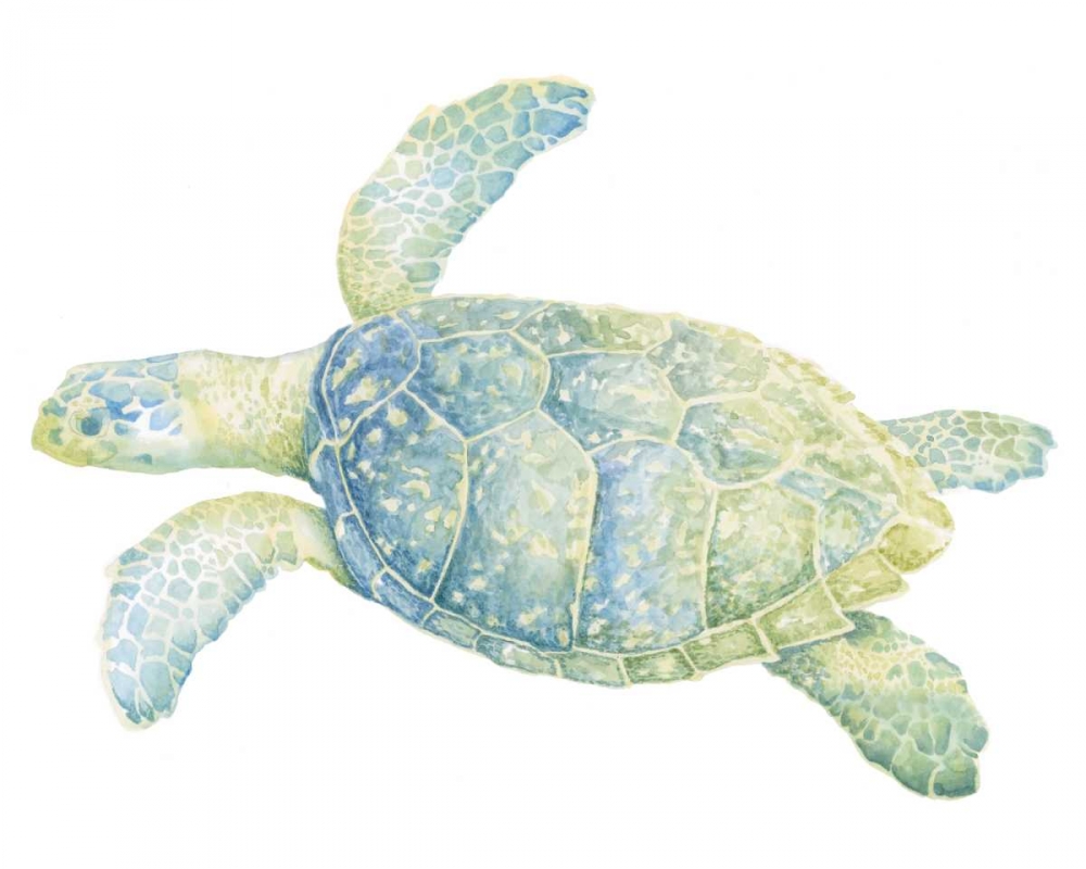 Art Print: Tranquil Sea Turtle II