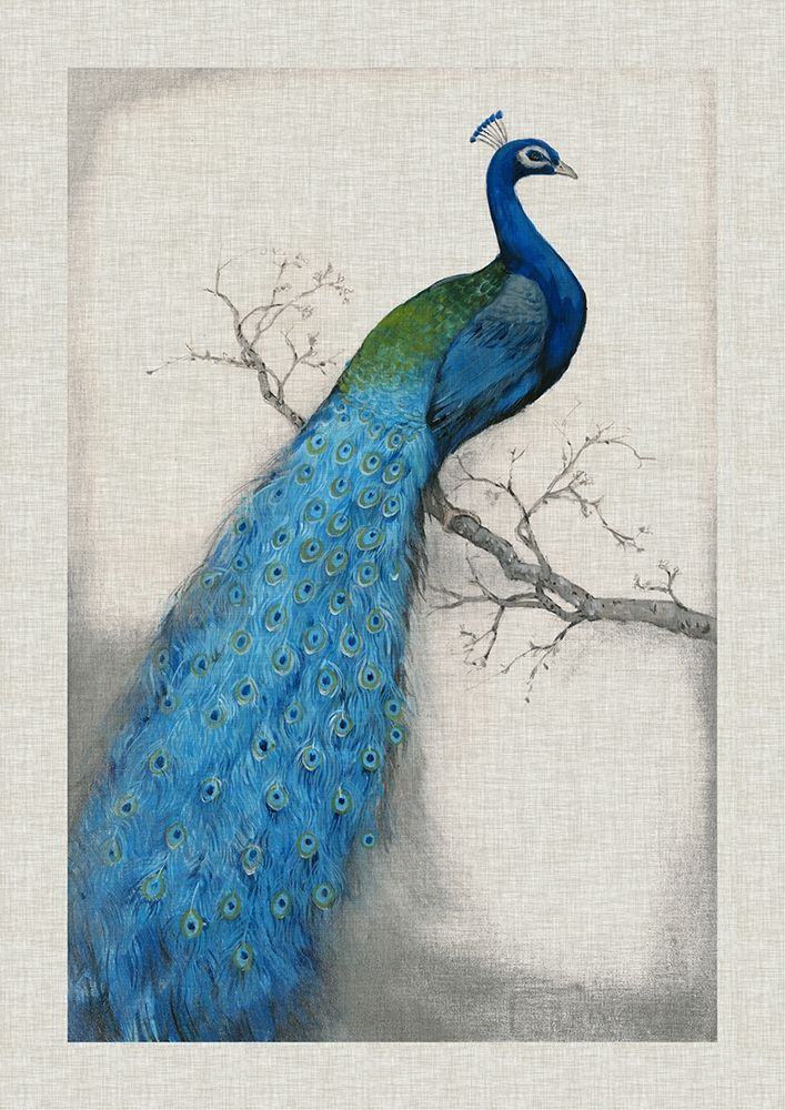 Wall Art Painting id:226759, Name: Custom Peacock Blue I (ASH), Artist: OToole, Tim