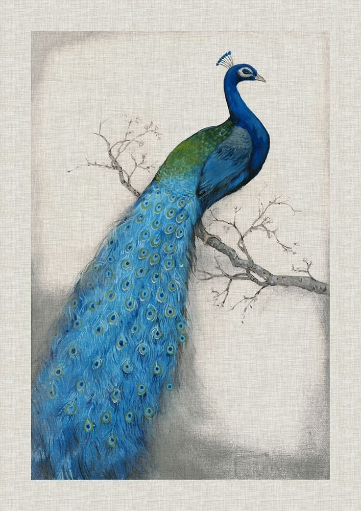 Art Print: Custom Peacock Blue I (ASH)