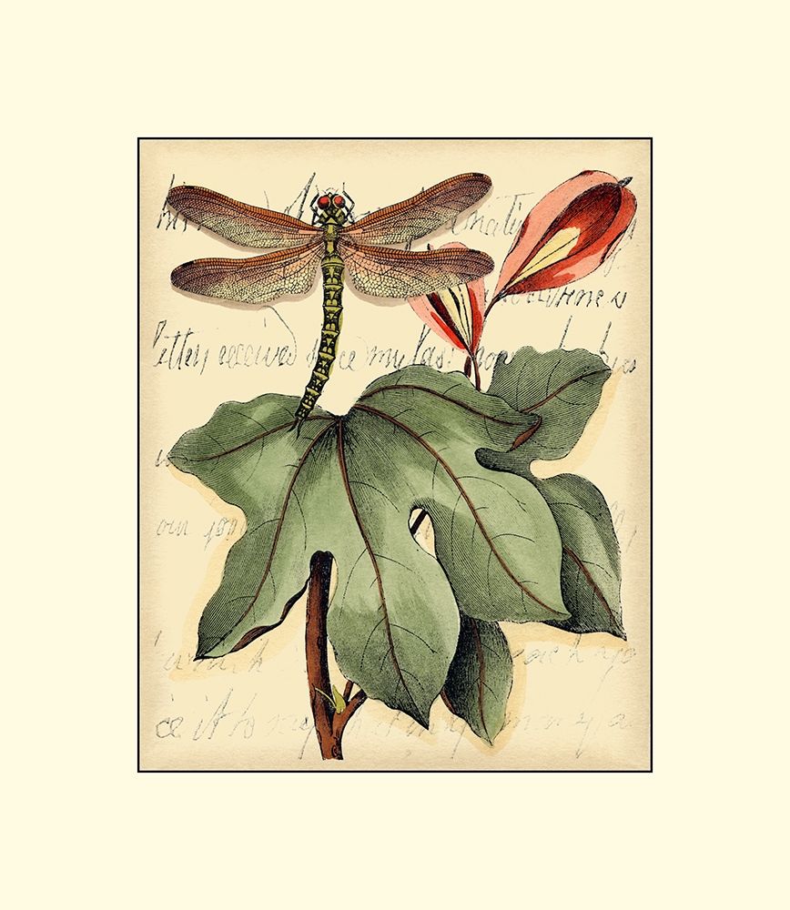 Art Print: Petite Dragonflies II