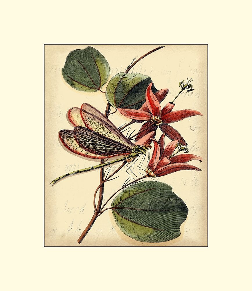 Art Print: Petite Dragonflies III