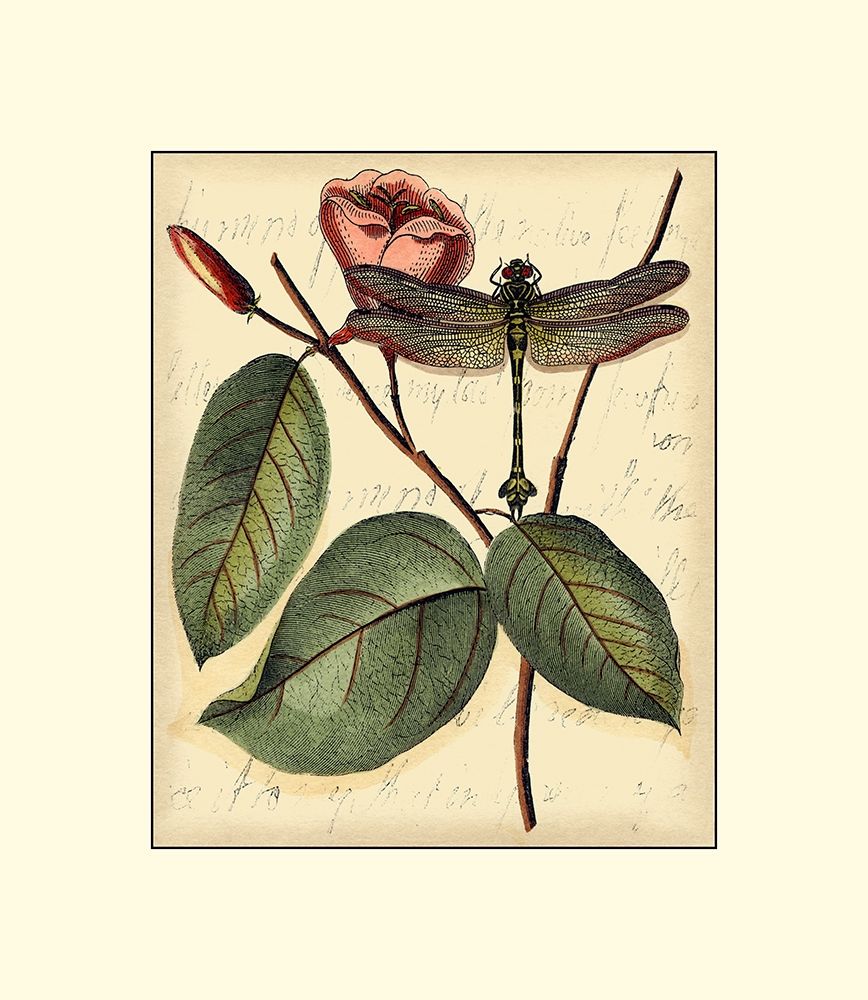 Wall art: Petite Dragonflies IV, by Vision Studio