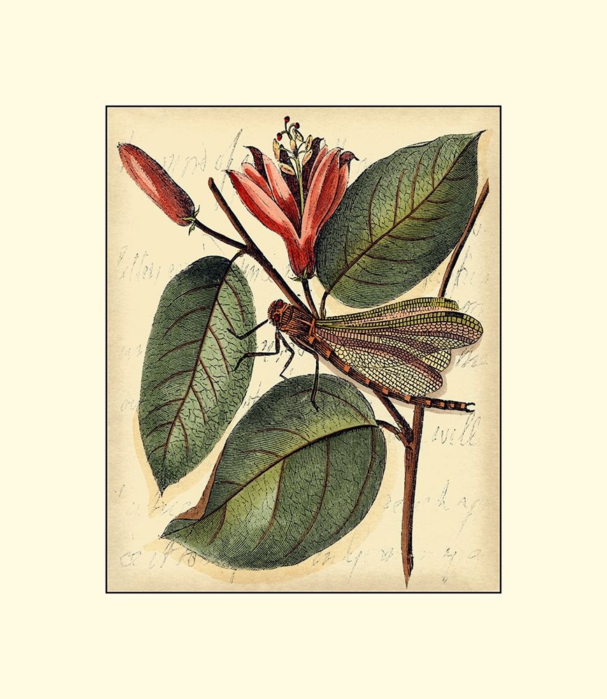 Wall art: Petite Dragonflies V, by Vision Studio