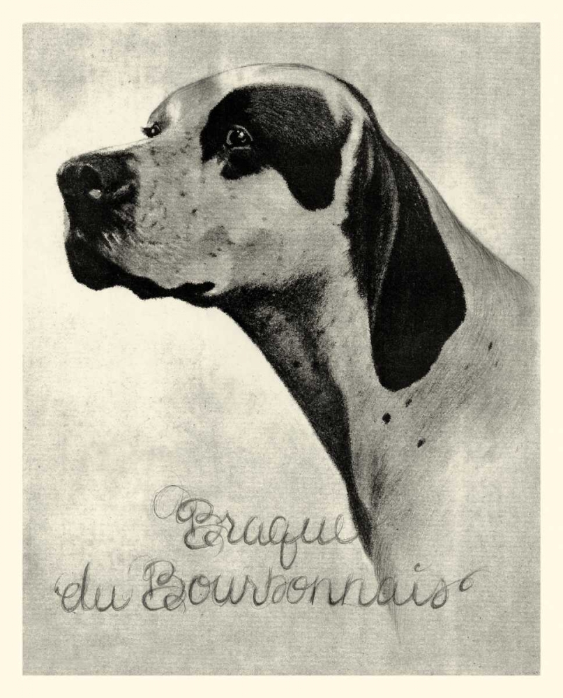 Art Print: B and W Brague du Bourbonnais