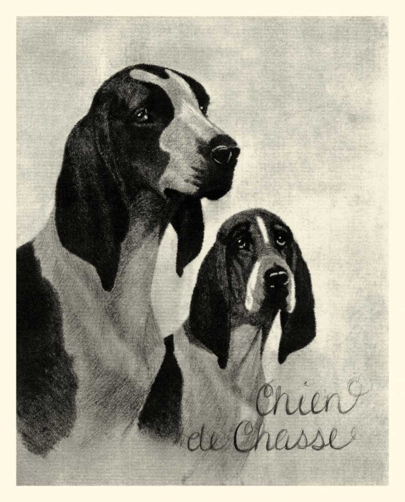 Wall Art Painting id:38197, Name: B and W Chien de Chasse, Artist: Vision Studio
