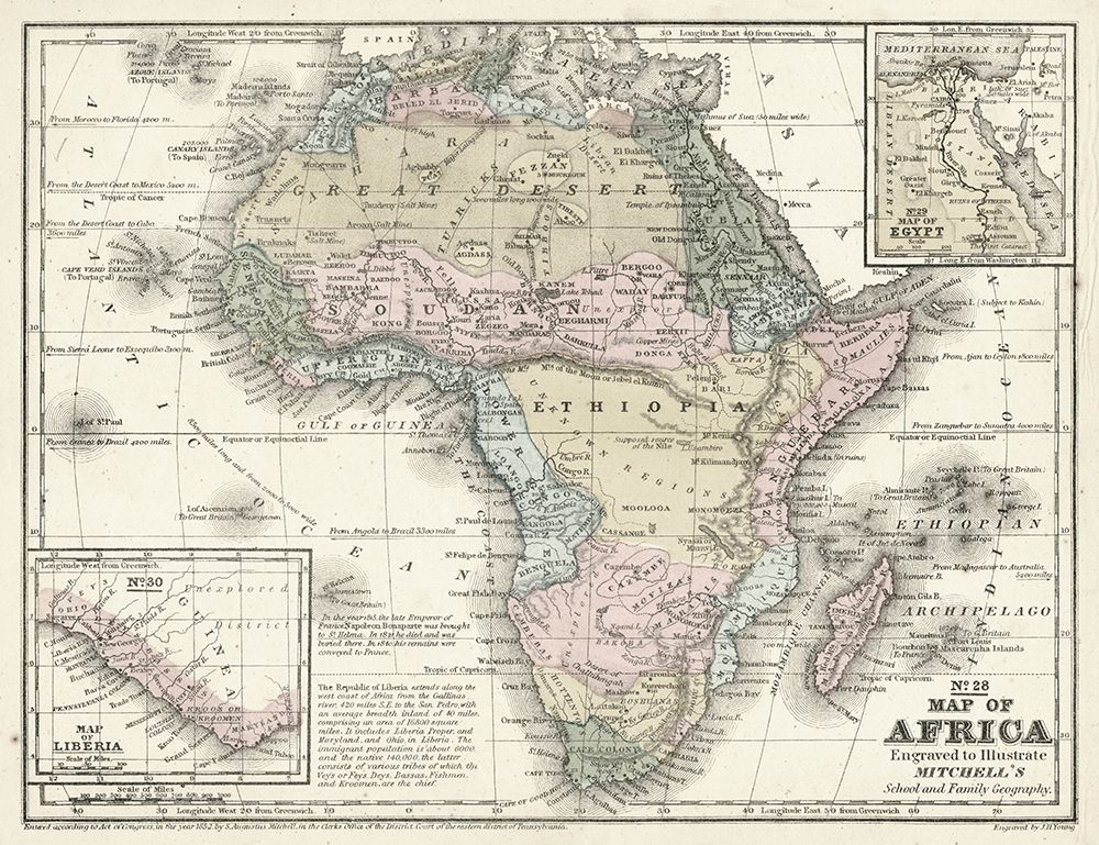 Wall Art Painting id:536824, Name: Mitchells Map of Africa, Artist: Mitchell