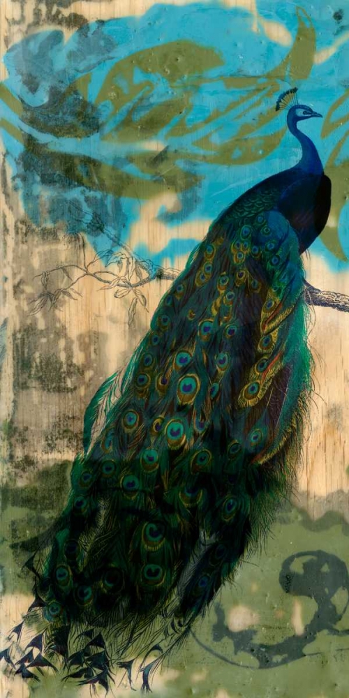 Wall art: Rustic Peacock I, by Goldberger, Jennifer