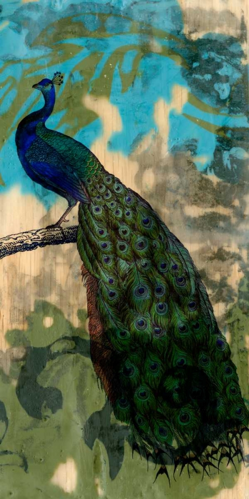 Wall art: Rustic Peacock II, by Goldberger, Jennifer