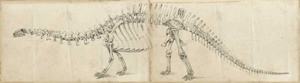 Wall Art Painting id:38202, Name: Dinosaur Study I, Artist: Harper, Ethan