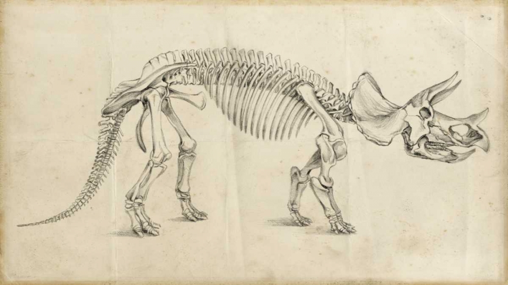 Wall Art Painting id:38203, Name: Dinosaur Study II, Artist: Harper, Ethan